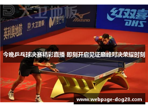 今晚乒乓球决赛精彩直播 即刻开启见证巅峰对决荣耀时刻